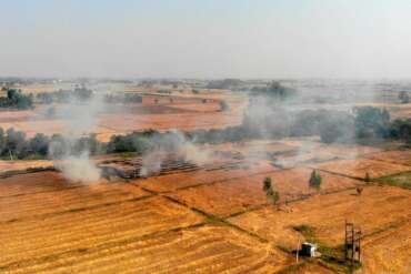 parali burning problem in India